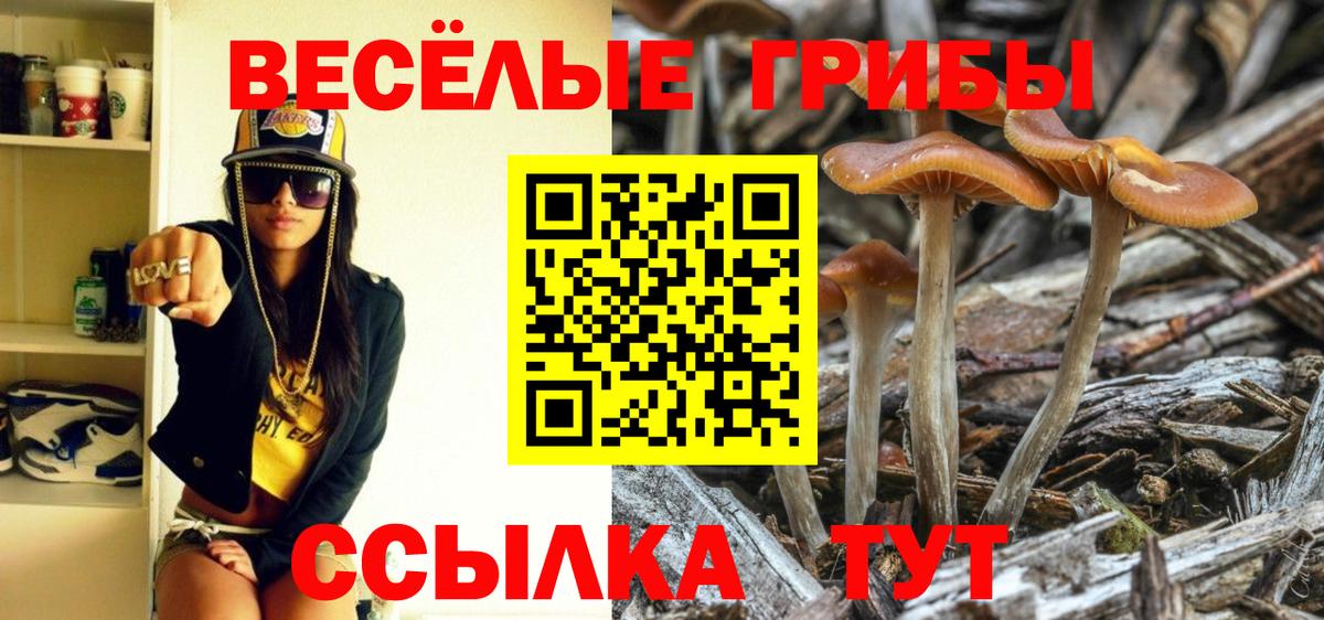 Родники  Галлюциногенные грибы Magic Shrooms  Вход с VPN 