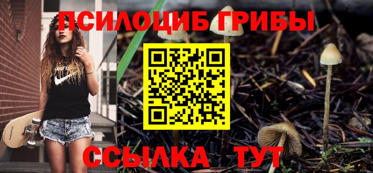 Галлюциногенные грибы Psilocybe Родники